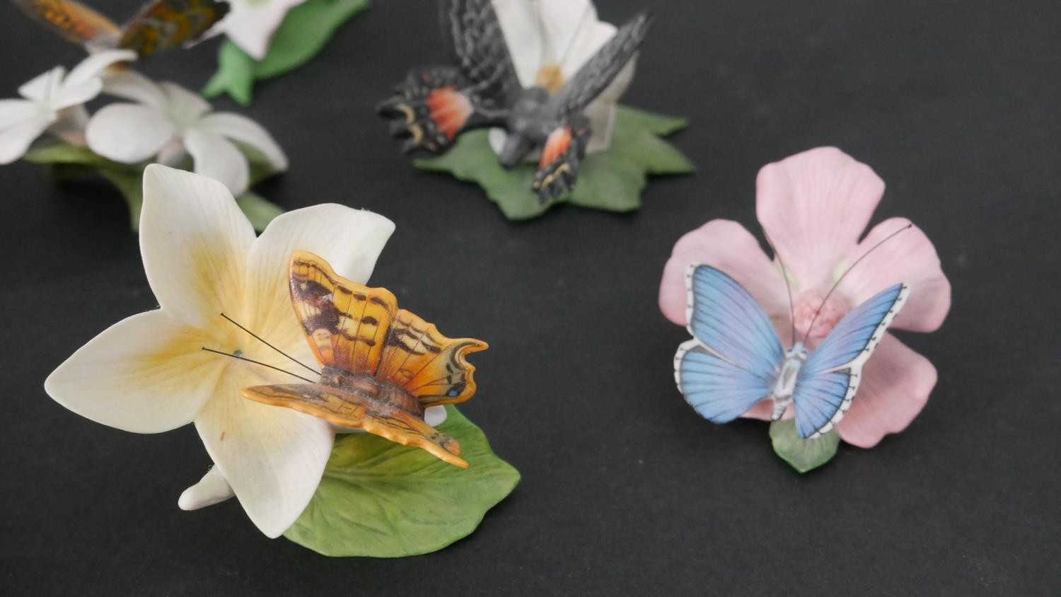 A collection of fifteen Franklin Mint 'Butterflies of the World' hand painted porcelain figures with - Image 2 of 12