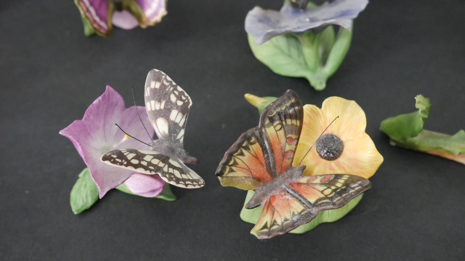 A collection of fifteen Franklin Mint 'Butterflies of the World' hand painted porcelain figures with - Image 4 of 12