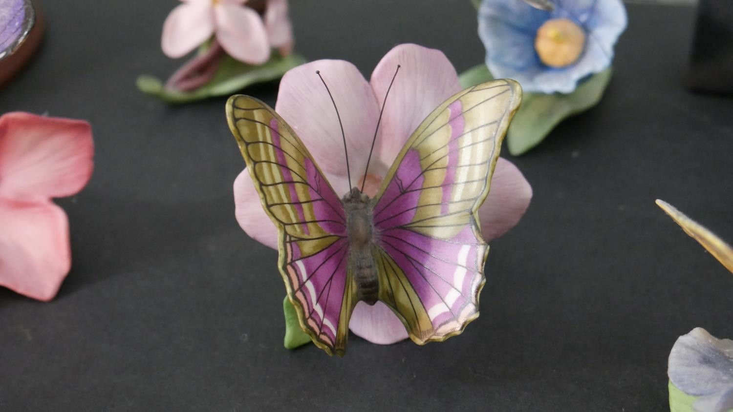 A collection of fifteen Franklin Mint 'Butterflies of the World' hand painted porcelain figures with - Image 5 of 12