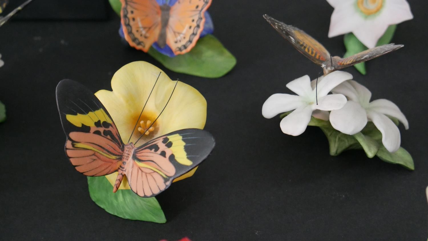 A collection of fifteen Franklin Mint 'Butterflies of the World' hand painted porcelain figures with - Image 3 of 12