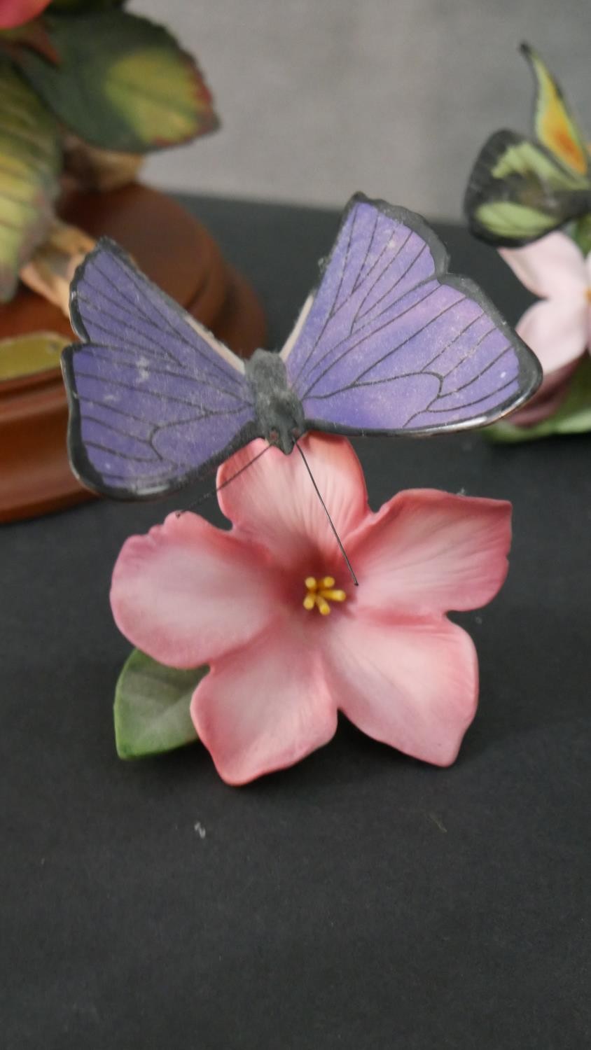 A collection of fifteen Franklin Mint 'Butterflies of the World' hand painted porcelain figures with - Image 6 of 12