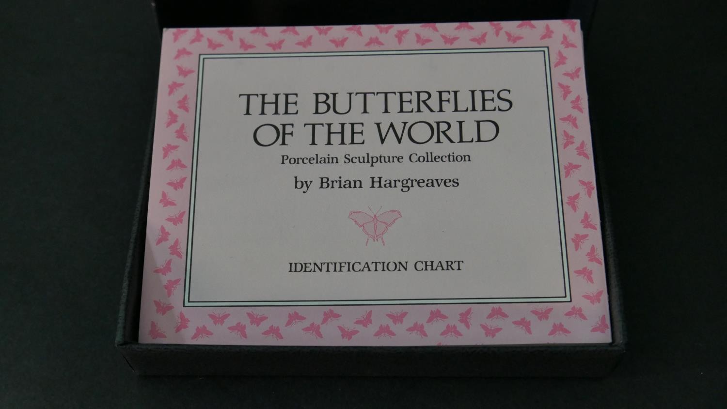 A collection of fifteen Franklin Mint 'Butterflies of the World' hand painted porcelain figures with - Image 11 of 12