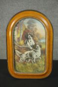 A maple arched framed and convex glazed vintage print of two English Setter dogs. H.60 W.40cm.