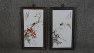 Two framed 19th century hand painted Chinese ceramic tiles, one depicting a branch with a cicada and