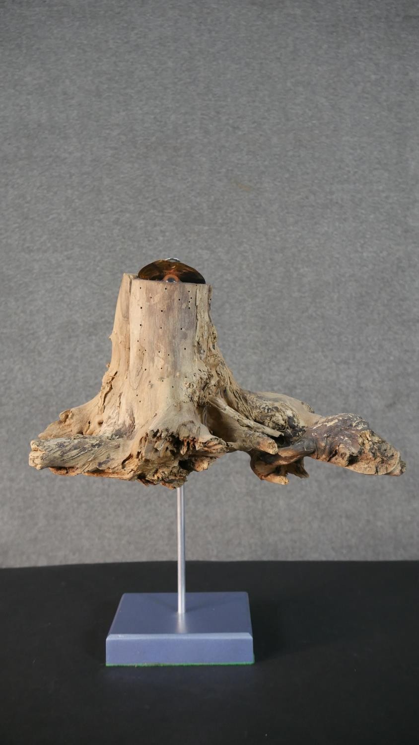 Three contemporary driftwood sculptures in various forms, each on a wooden base. H.52 W.26cm ( - Image 9 of 30