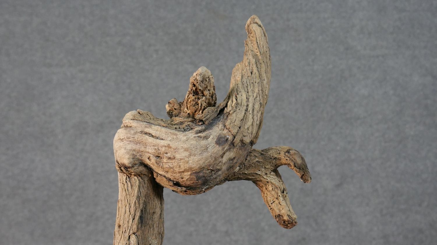 Three contemporary driftwood sculptures in various forms, each on a wooden base. H.52 W.26cm ( - Image 6 of 30