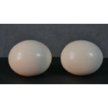 Two blown ostrich eggs. L.17cm