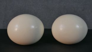 Two blown ostrich eggs. L.17cm