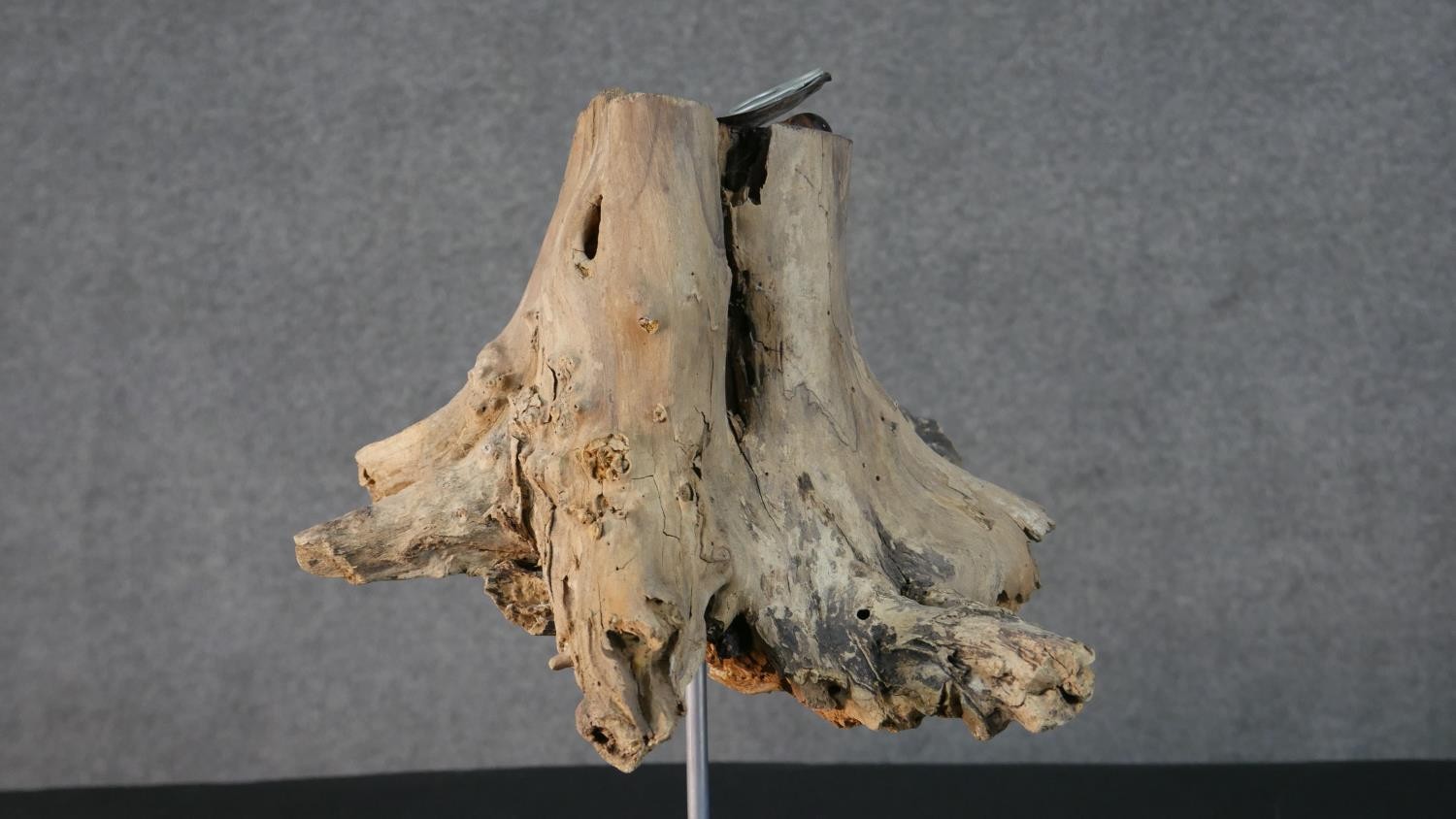 Three contemporary driftwood sculptures in various forms, each on a wooden base. H.52 W.26cm ( - Image 14 of 30