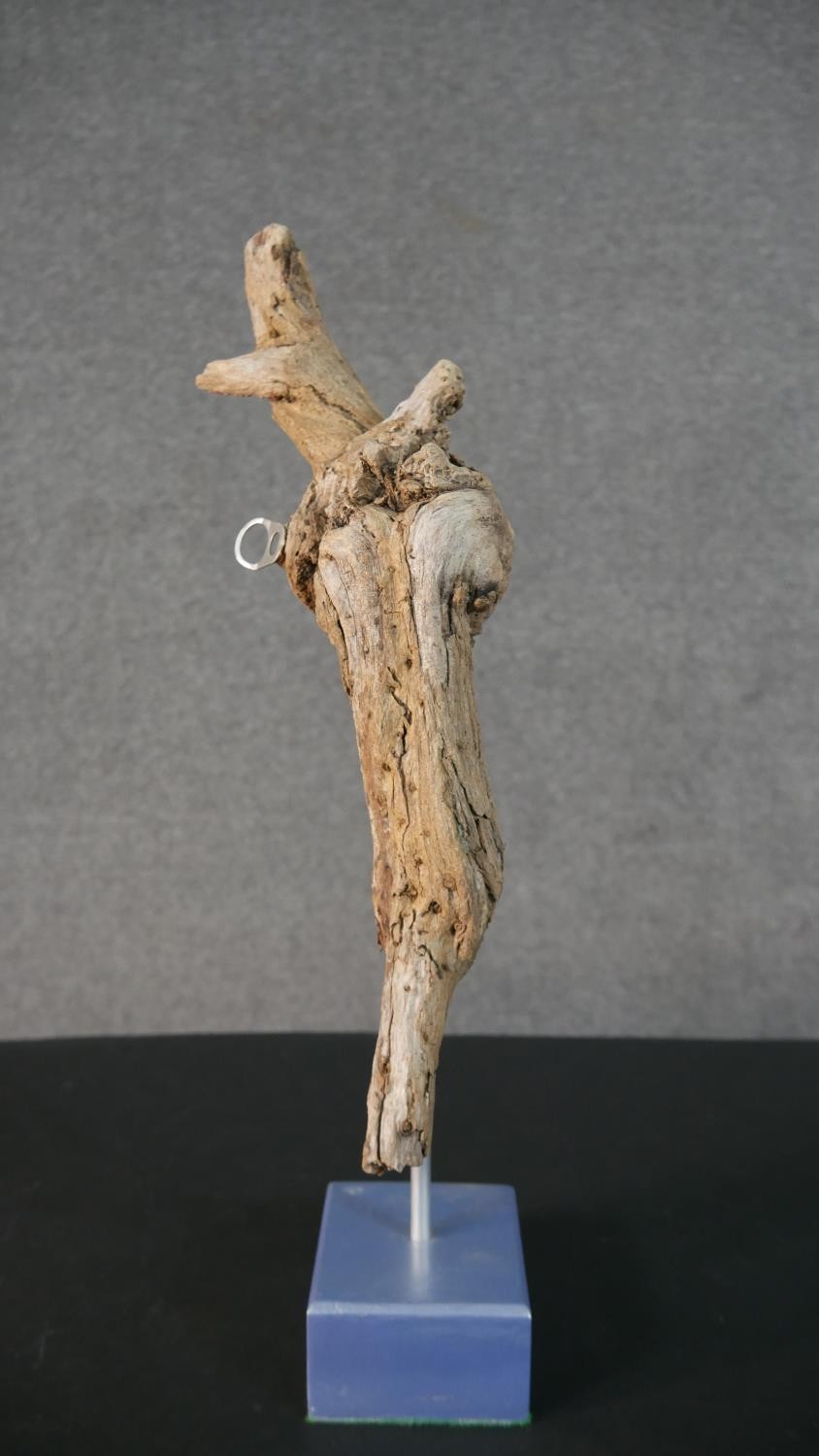 Three contemporary driftwood sculptures in various forms, each on a wooden base. H.52 W.26cm ( - Image 7 of 30