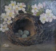 A gilt framed oil on board of a bird's nest with apple blossom, signed W. Burgess. H.41 W.44cm