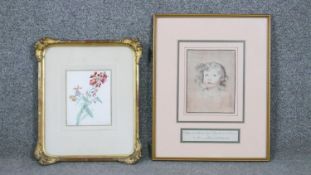 A gilt framed and glazed watercolour of a wall flower, monogrammed M.T. along with a 19th century