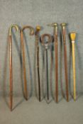 A collection of six vintage walking canes and a shooting stick. Three canes with brass finials,