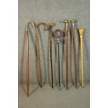 A collection of six vintage walking canes and a shooting stick. Three canes with brass finials,