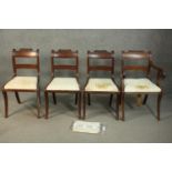 A set of four Regency mahogany dining chairs, one carver and three side chairs, with gadrooned