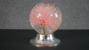 A glass liquid filled globe containing a large plastic allium flowerhead on metallic effect base.