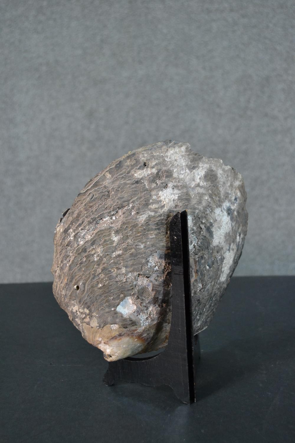 Two 19th century painted oyster shells on wooden stands, each depicting a Japanese mountain lake - Image 12 of 12