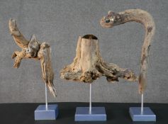 Three contemporary driftwood sculptures in various forms, each on a wooden base. H.52 W.26cm (