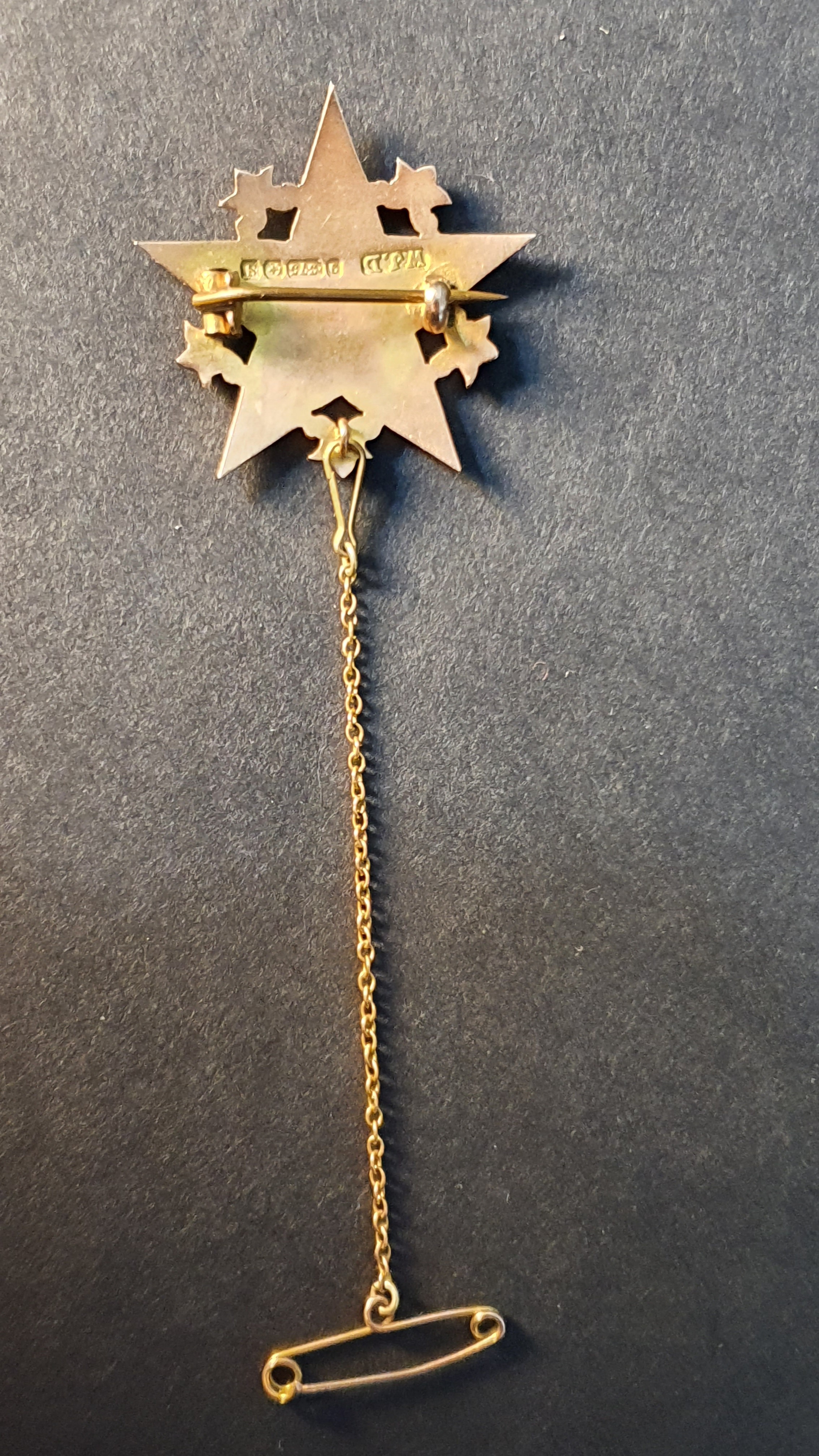 A 9ct yellow gold and enamel masonic order of the Eastern Star brooch with yellow metal safety - Image 3 of 5