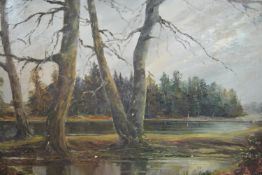 Mid 20th century school, landscape with trees and a body of water, oil on board. H.51 W.66cm