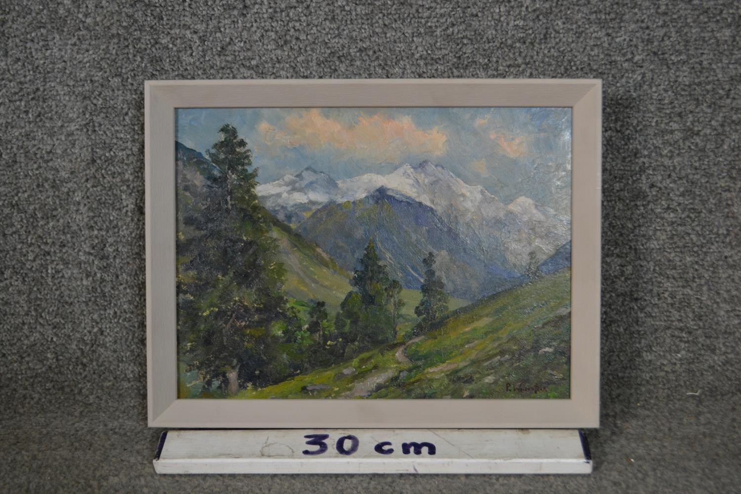 Paul Weisenfels (1858-1939), mountainous landscape, oil, signed lower right. H.24.5 W.32cm - Image 3 of 4