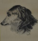 A framed and glazed Victorian pencil sketch of a Scottish Deerhound, monogrammed F.L.W. H.50 W.42cm