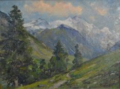 Paul Weisenfels (1858-1939), mountainous landscape, oil, signed lower right. H.24.5 W.32cm