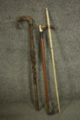 A collection of walking canes and a crop. One carved bone with a tapering form. L.82cm. (largest)