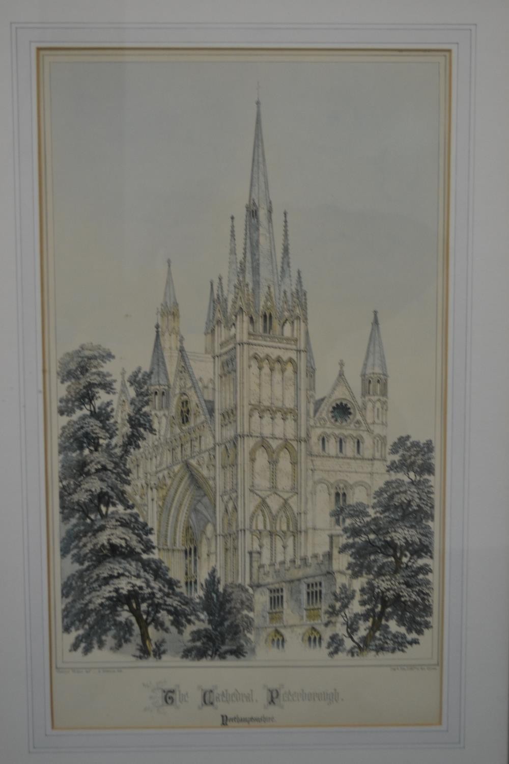 A set of four framed and glazed hand coloured engravings of various Cathedrals. H.67 W.45cm ( - Image 6 of 12