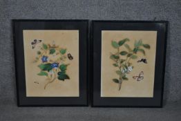 A pair of framed and glazed 19th century Chinese watercolors of flowers and insects. H.57 W.47cm