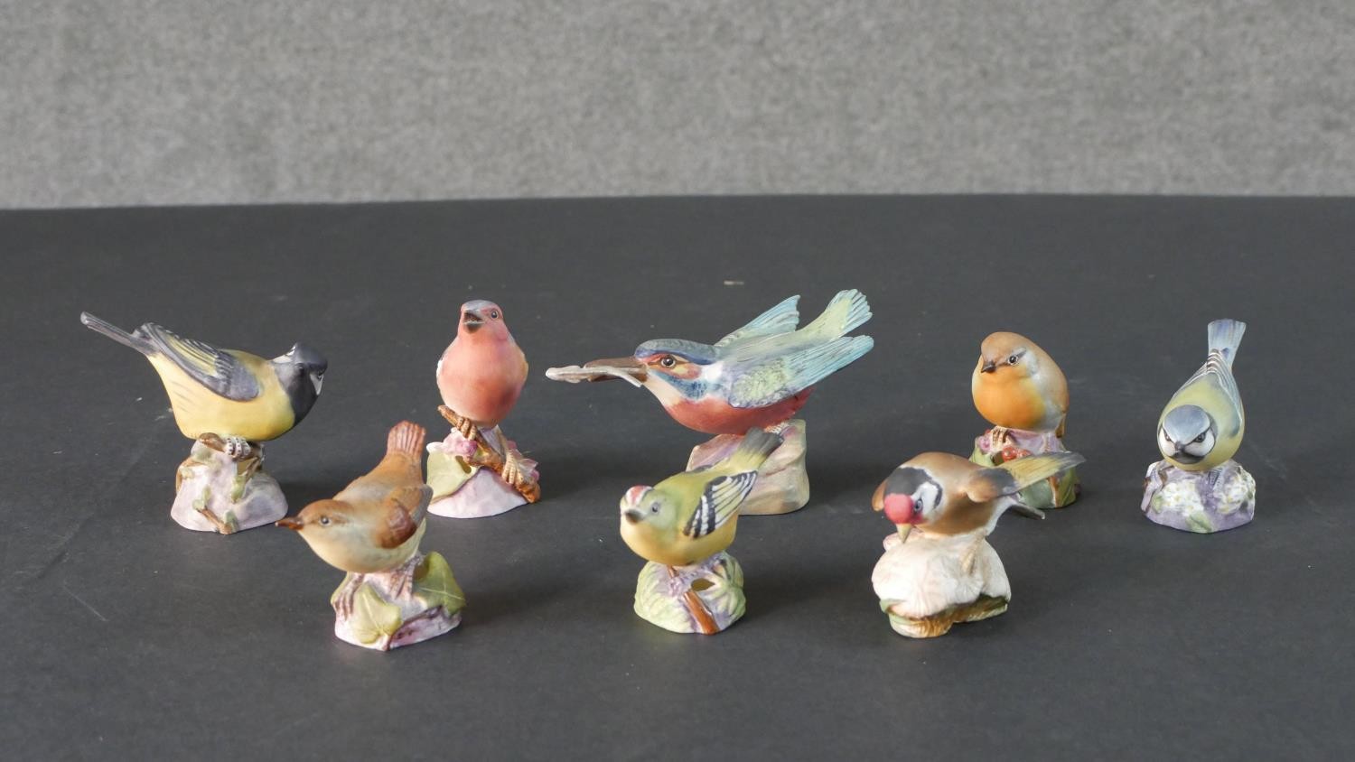 A collection of eight Royal Worcester hand painted porcelain British birds. Stamped to base. H.7 W.