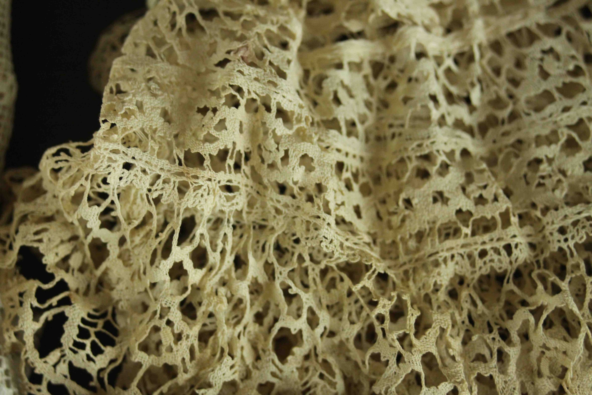 A collection of thirty pieces of 19th century hand embroidered lace. - Bild 16 aus 23