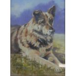 A framed and glazed pastel of a German Shepherd 'Hope', signed Astrid, 2002. H.39 W.32cm.