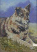 A framed and glazed pastel of a German Shepherd 'Hope', signed Astrid, 2002. H.39 W.32cm.