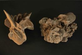 Two large selenite gypsum 'desert roses' composed of blades of selenite with gypsum sand inclusions.