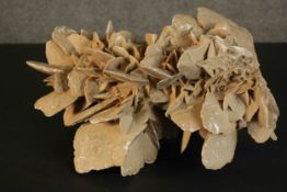 A very large selenite gypsum 'desert rose' composed of blades of selenite with gypsum sand