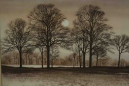 Kathleen Caddick (b.1937), etching of winter trees, monogrammed. H.49 W.57cm.