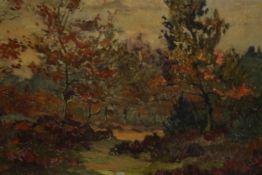 After Tom Slager (1918-1994), autumn landscape, oil on canvas, signed lower left. H.66 W.81cm.