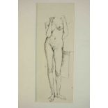 A framed and glazed pen and ink sketch of a female nude, unsigned. H.42 W.31cm.