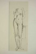 A framed and glazed pen and ink sketch of a female nude, unsigned. H.42 W.31cm.