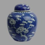 19th century Chinese blue and white prunus design ginger jar and cover. 21 cm high. UK Postage £16.