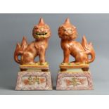 A pair of 19th century Japanese Kutani porcelain temple lions, 23 cm. UK Postage £20.