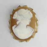 9ct gold carved shell cameo brooch, 11.3 grams. 40 x 50 mm. UK Postage £12.