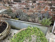 A FRENCH PROVINCIAL ZINC WATER TROUGH / HERB PLANTER