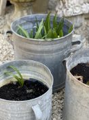 A COLLECTION OF THREE FRENCH GALVANISED PLANTERS