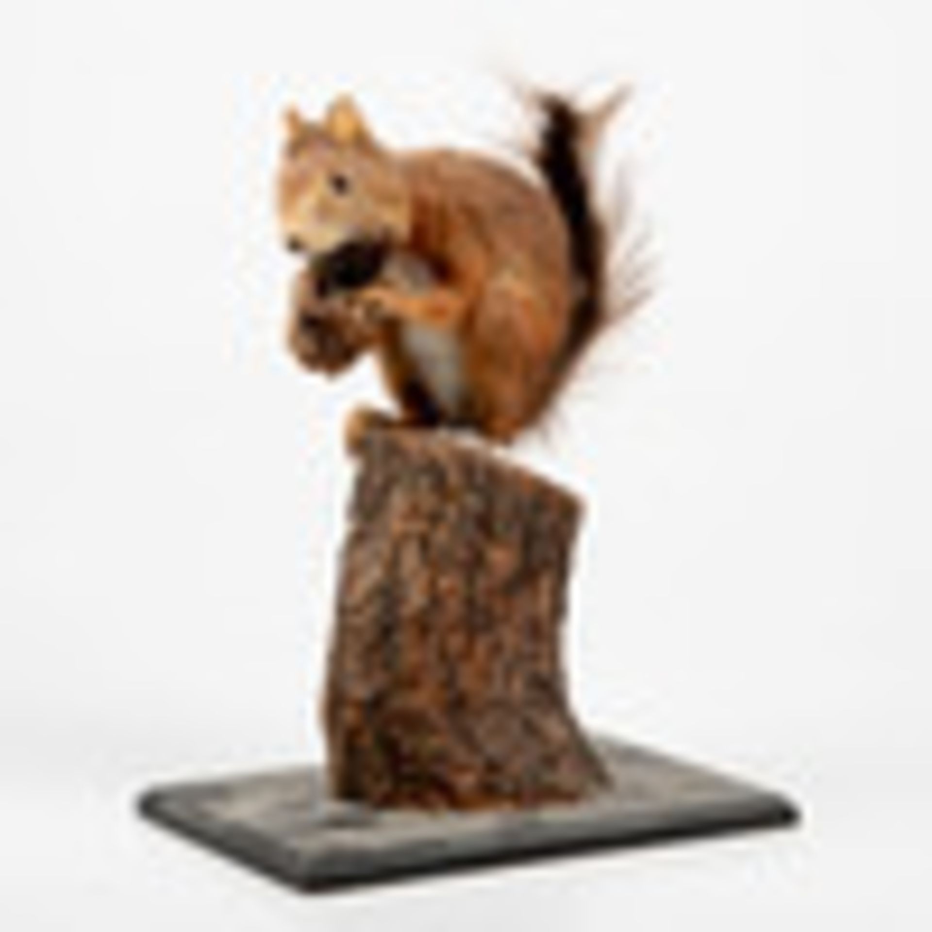 A TAXIDERMY RED SQUIRREL