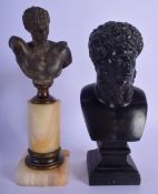 TWO 19TH CENTURY GRAND TOUR SPELTER CABINET BUSTS