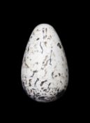 A REPLICA OF AN EXTINCT GREAT AUK EGG