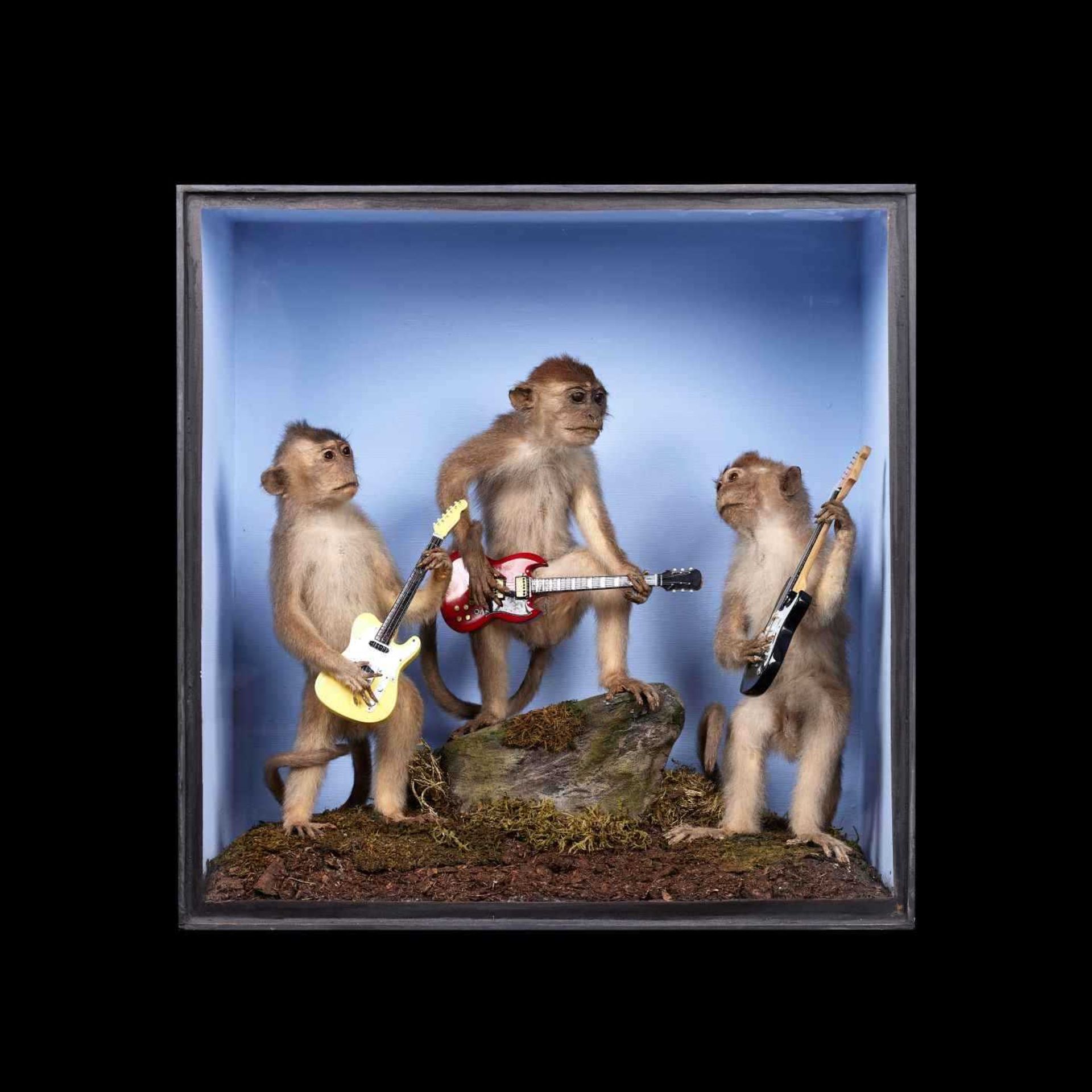 A TAXIDERMY DISPLAY OF THREE MONKEYS PLAYING GUITARS