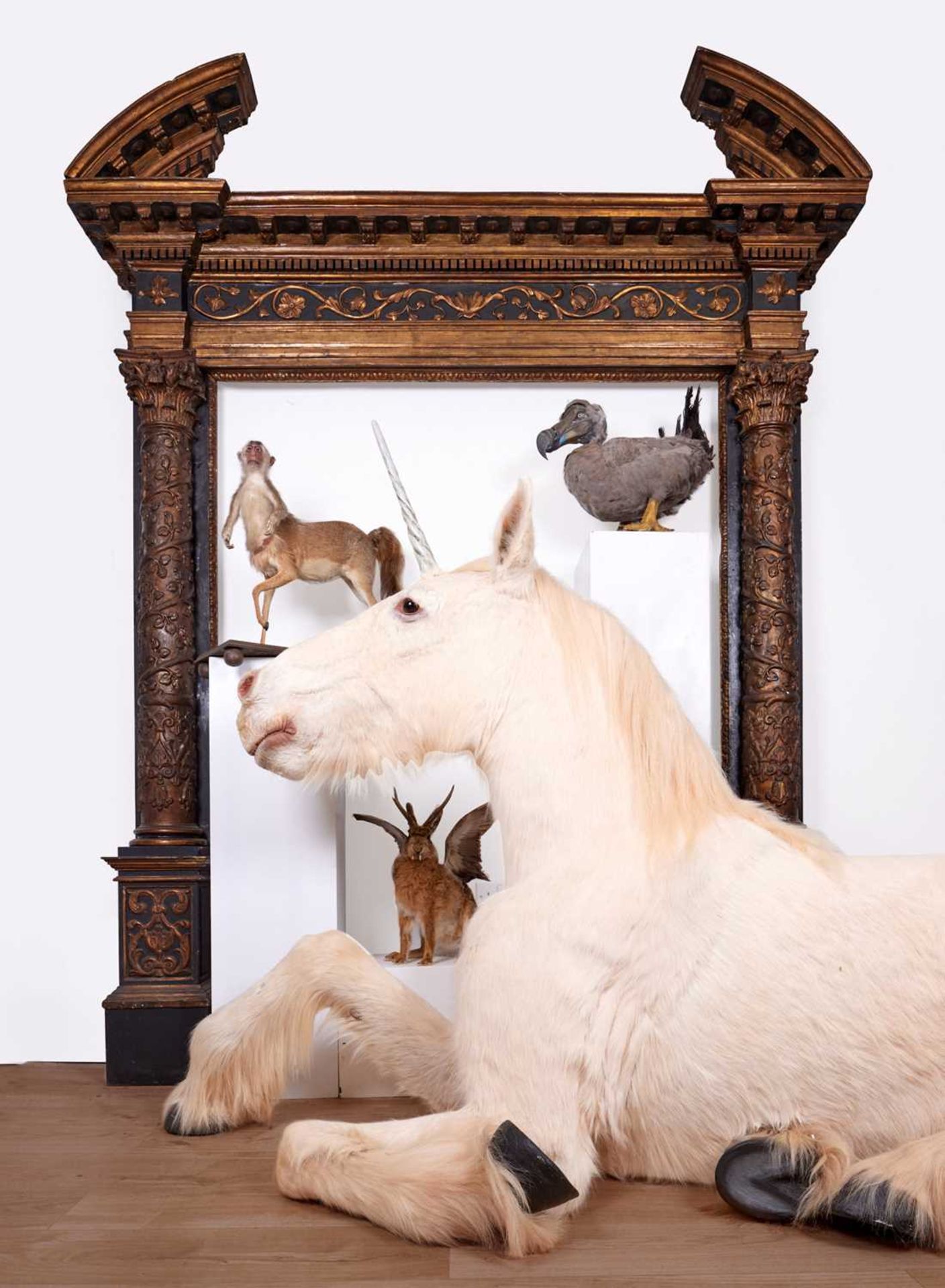 A TAXIDERMY FULL MOUNT 'UNICORN' (EQUUS CABALLUS)